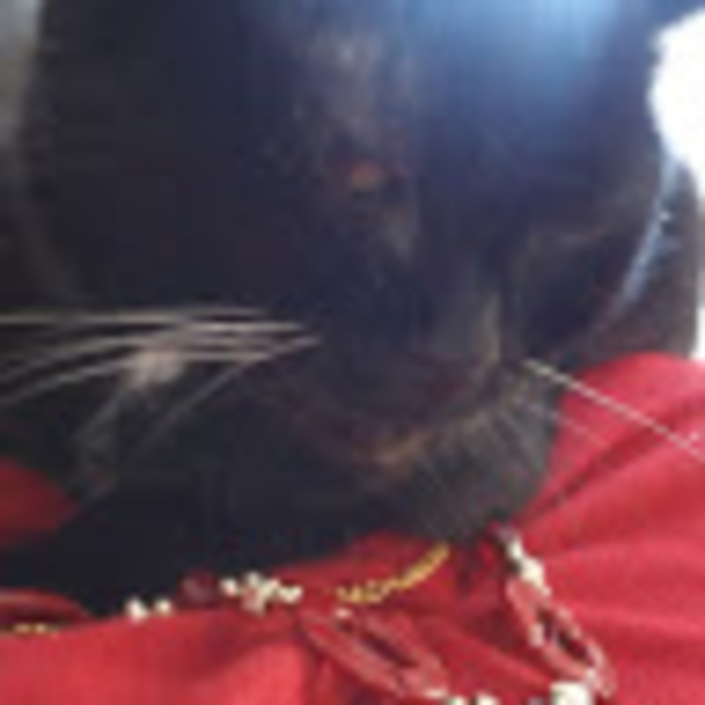 Meet your Posher, Takisha